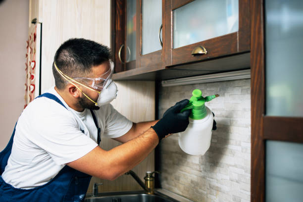 Best Pest Control Near Me in East Richmond Heights, CA