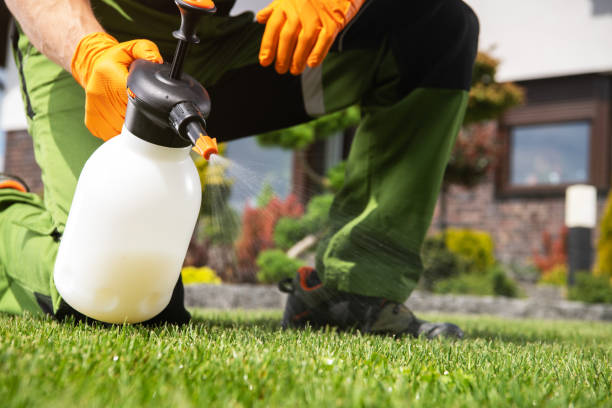 Best Mosquito Control Services  in East Richmond Heights, CA
