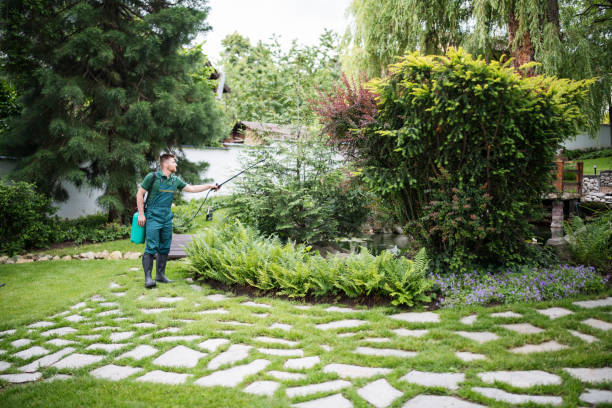 Best Termite Control Services  in East Richmond Heights, CA