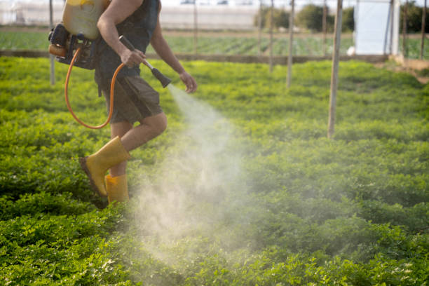 Pest Control Cost in East Richmond Heights, CA