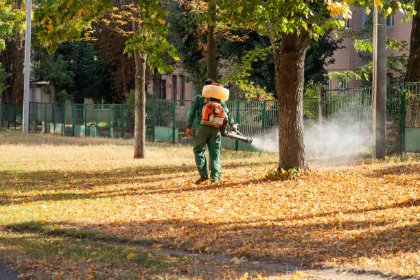 Best Pest Removal Services  in East Richmond Heights, CA