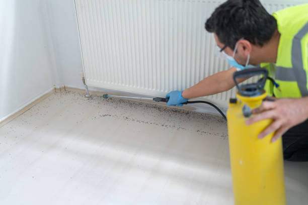 Best Affordable Pest Control Services  in East Richmond Heights, CA